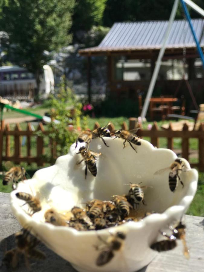 Hotel Bujtina Izet Selimaj Valbone Exteriér fotografie